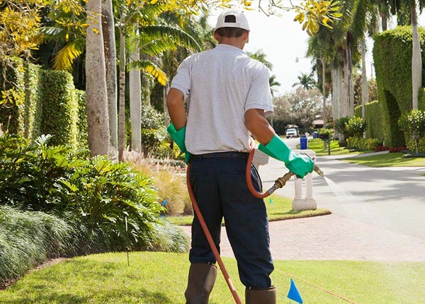 About Plumsteadville PA Pest Control Pros
